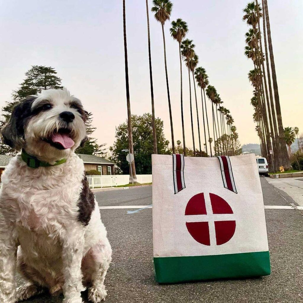 Mulepose i Los Angeles lille hund og palmer